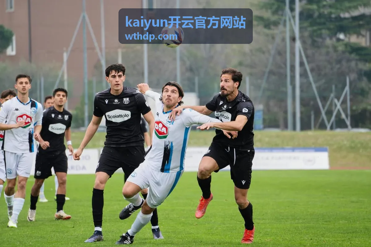 kaiyun开云官方网站每日速览封面