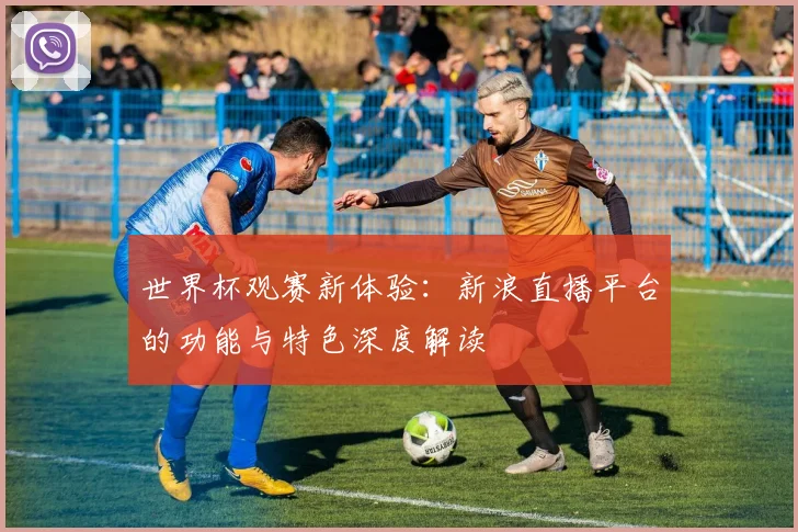 世界杯观赛新体验：新浪直播平台的功能与特色深度解读