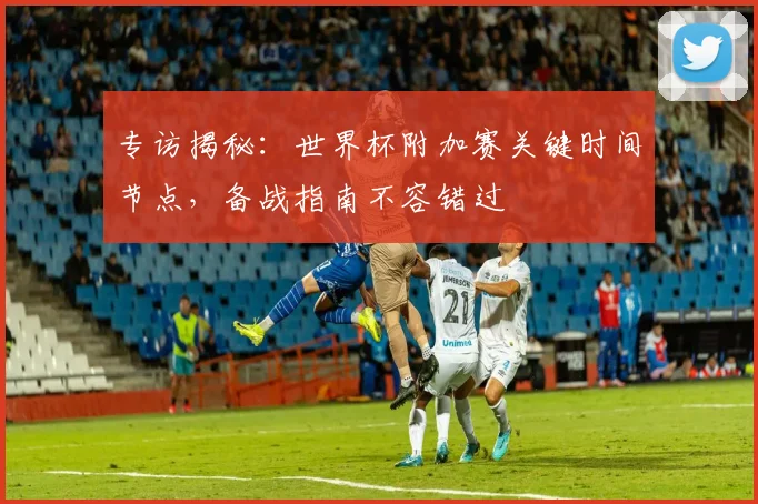 专访揭秘：世界杯附加赛关键时间节点，备战指南不容错过